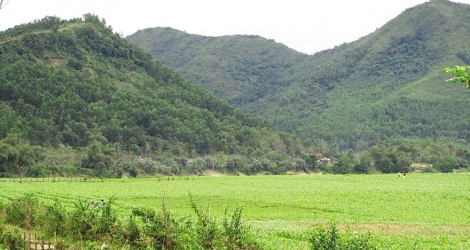 Doanh nghiệp đề xuất 4 dự án chăn nuôi “khủng”, Quảng Nam thận trọng