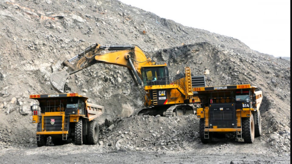 Quảng Ngãi giao 7,1ha đất rừng sản xuất cho DN khai thác mỏ đá