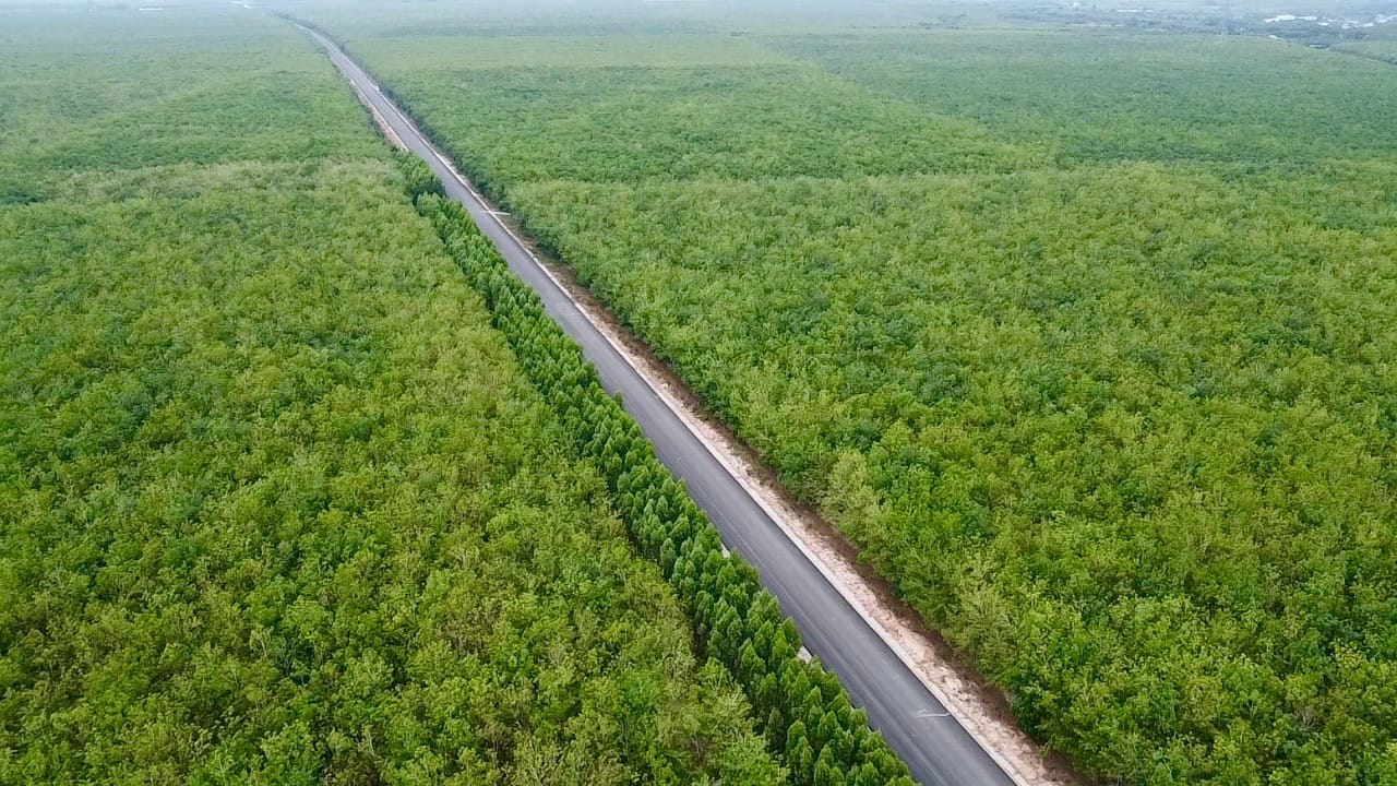 Chỉ hơn 2 tháng nữa, con đường xuyên rừng cao su tại tỉnh giàu nhất Việt Nam sẽ thông xe kỹ thuật
