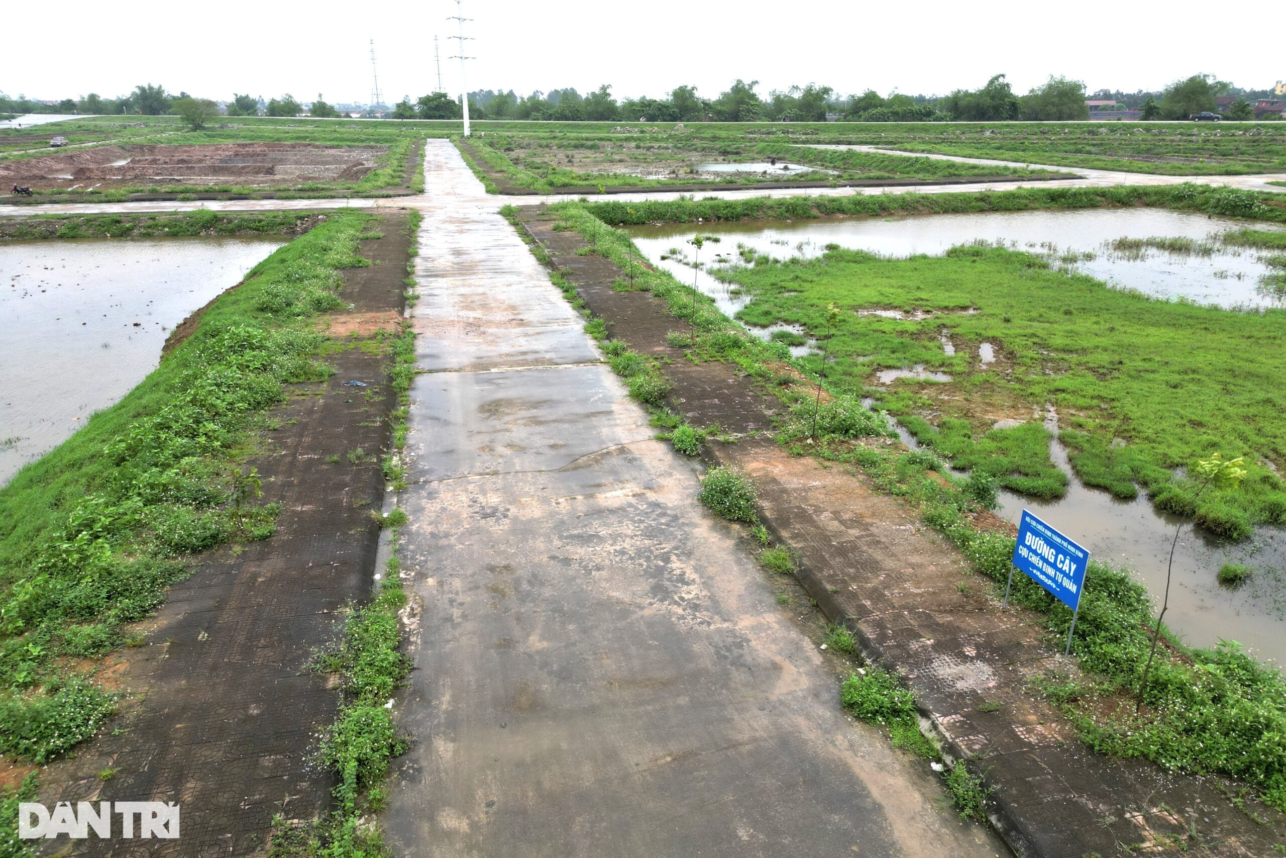 Khu “đất vàng” nghìn tỷ đồng bất đắc dĩ thành vườn ươm cây ở Ninh Bình