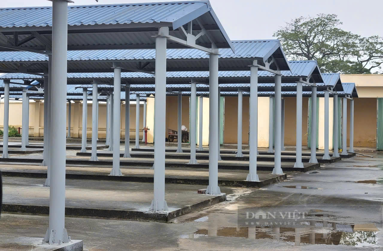 Sau 9 năm bỏ hoang, cái chợ của một xã nông thôn mới ở Ninh Bình vừa được khai trương