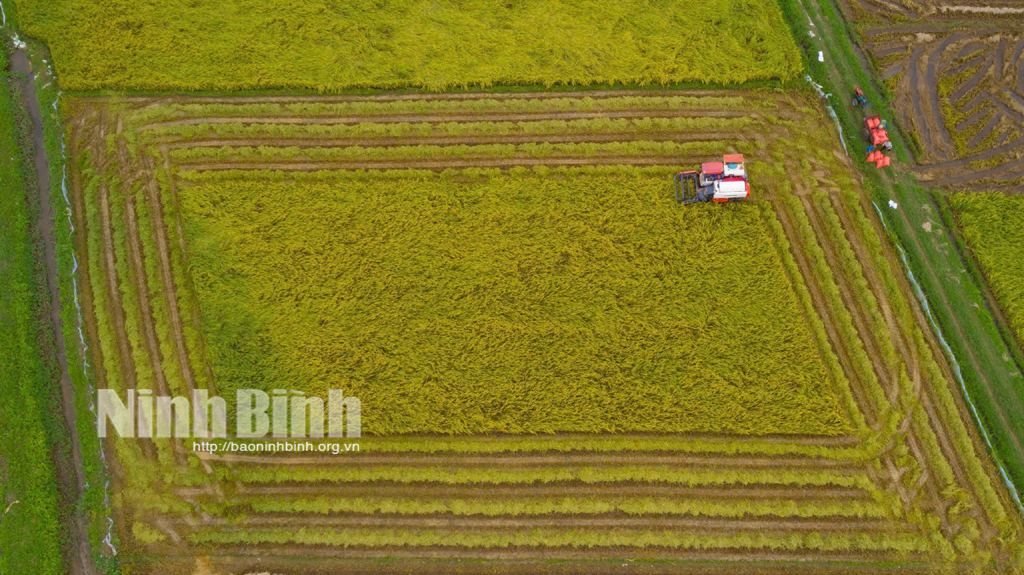 Danh mục dự án phải thu hồi đất trên địa bàn Ninh Bình năm 2025