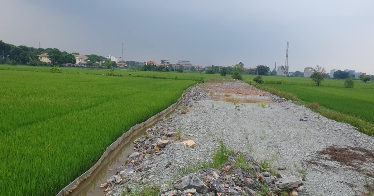 Tỉnh Ninh Bình sẽ xây khu đô thị ở vùng đệm Di sản Văn hóa và Thiên nhiên thế giới?