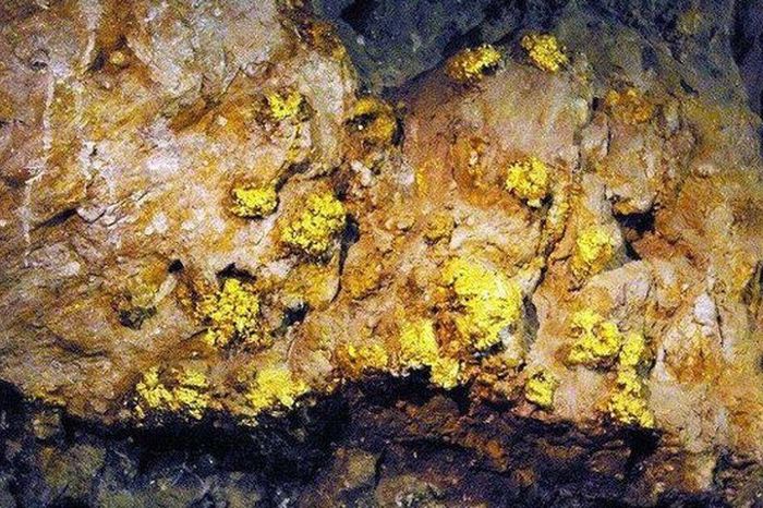 Việt Nam phát hiện 40 mỏ vàng với tổng trữ lượng gần 30 tấn