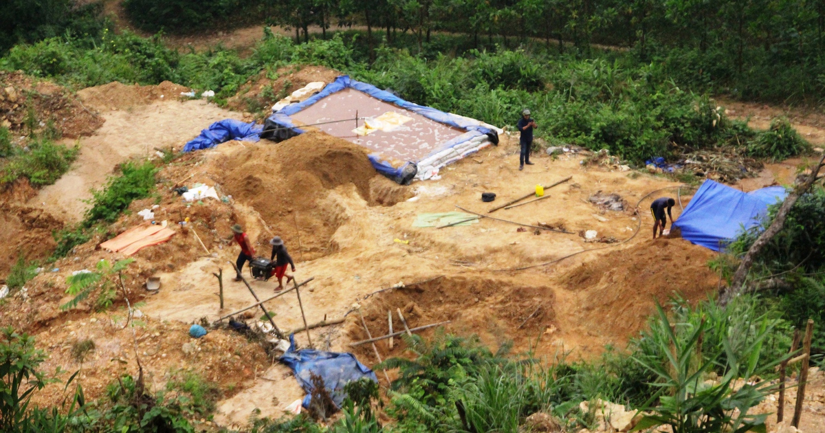 40 mỏ vàng trữ lượng gần 30 tấn được phân bố như thế nào?
