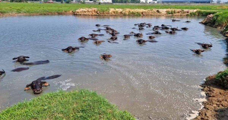 Bắc Ninh rà soát từng dự án gây lãng phí lớn