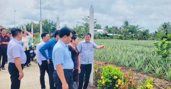 Hậu Giang: Ra mắt mô hình du lịch cộng đồng vùng khóm Cầu Đúc