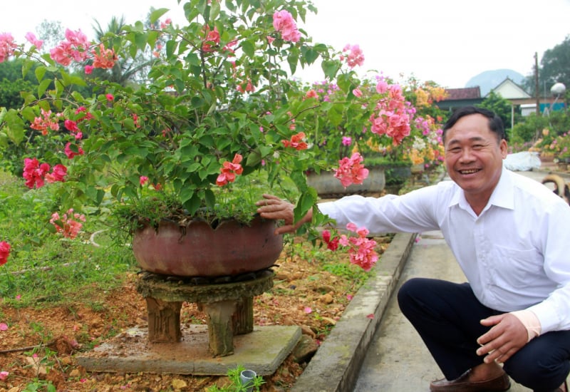 Một xã nông thôn mới Nghệ An có những con đường đẹp như phim, dân trồng thứ cây xổ hoa cản chả kịp