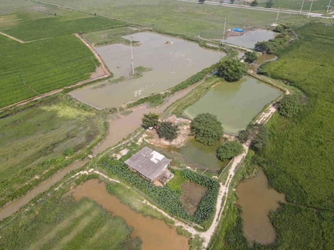 Dự án khu công nghiệp bỏ hoang gần 20 năm ở Bắc Ninh dự kiến khởi công năm nay