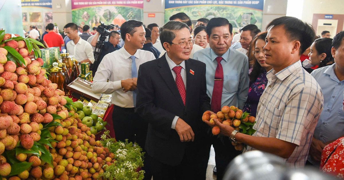 Năm nay, 165.000 tấn vải thiều Bắc Giang sẽ ‘đổ bộ’ thị trường