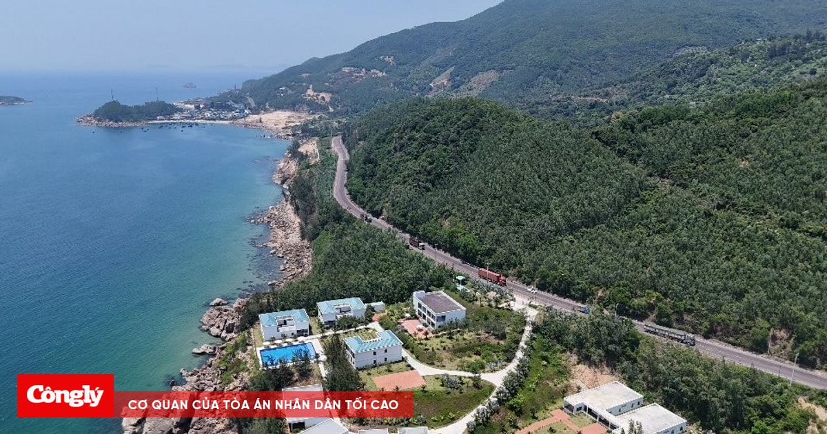 Tuyến đường ven biển Bình Định: Động lực mới cho phát triển kinh tế vùng duyên hải