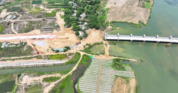 Cưỡng chế 3 thửa đất nông nghiệp cản tiến độ dự án đập dâng nghìn tỷ ở Quảng Ngãi
