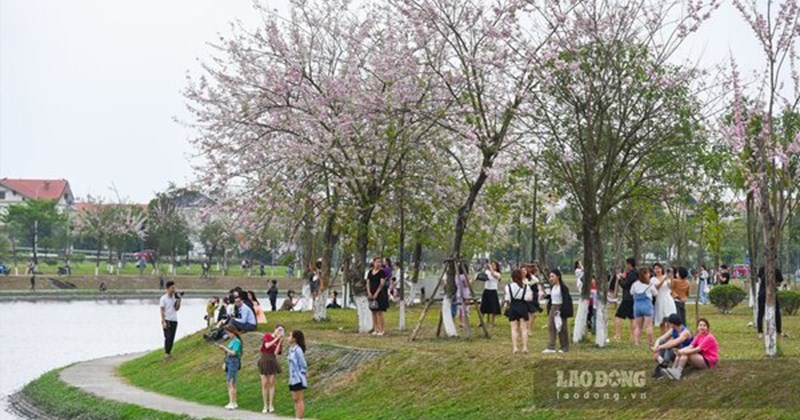 Bắc Ninh dự kiến có thêm KĐT và hồ điều hòa hơn 1.700 tỉ đồng