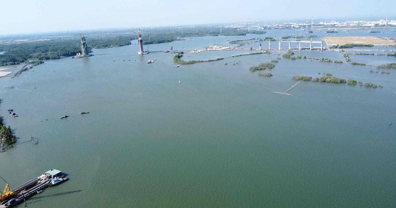 Chuyển mục đích 2,5 ha rừng để xây cầu nối tỉnh Đồng Nai và tỉnh Bà Rịa – Vũng Tàu