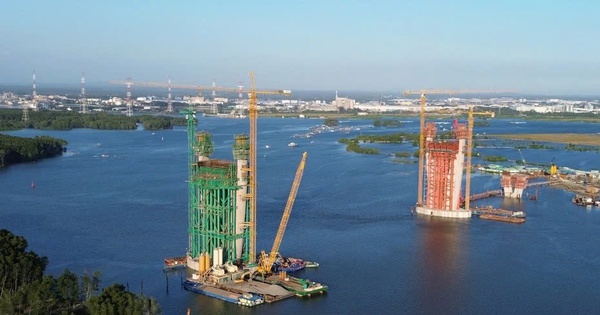 Đồng Nai chuyển đổi hơn 2,5ha rừng để xây cầu Phước An – “mắt xích” mới cho kết nối vùng kinh tế