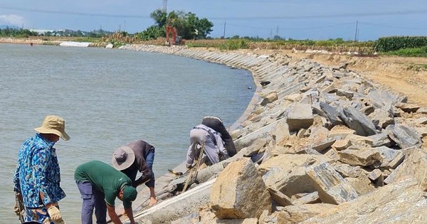 Dự án 125 tỷ đồng chống sạt lở ở Đà Nẵng “kẹt” vật liệu, vướng mặt bằng