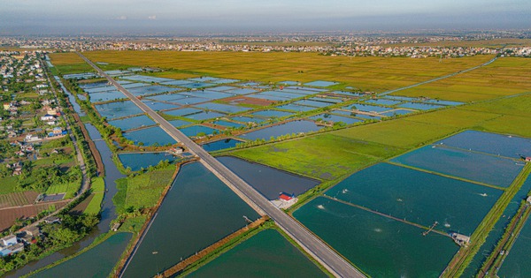 Một tỉnh giáp biển sắp về “chung nhà” với Hà Nam, Ninh Bình vừa thành lập 4 cụm công nghiệp gần 2.800 tỷ đồng, quy mô hơn 240 ha