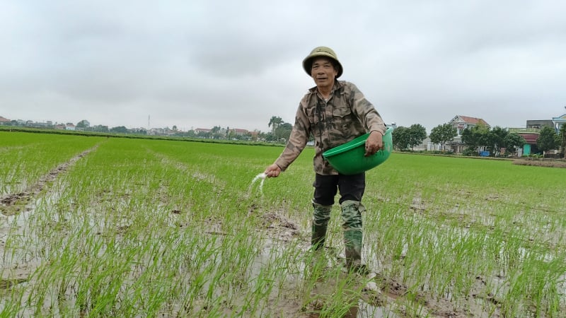 Sáp nhập tỉnh Hà Nam, Nam Định và Ninh Bình, người dân được hưởng chế độ chính sách đặc thù như thế nào?