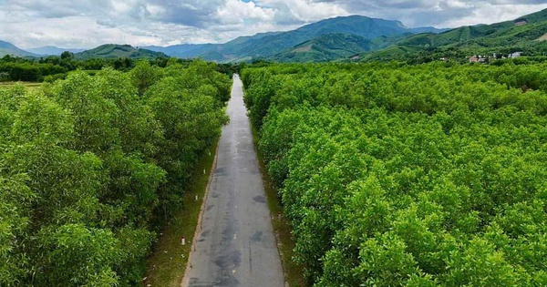 Cao tốc Quảng Ngãi – Kon Tum khi nào triển khai?