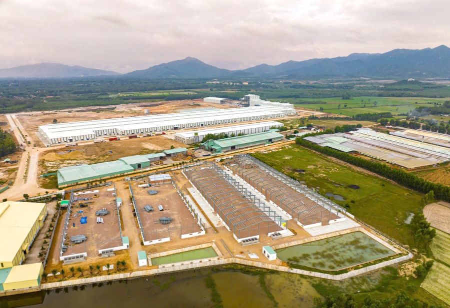Lộ diện ‘ông trùm’ cụm công nghiệp ở Bình Định