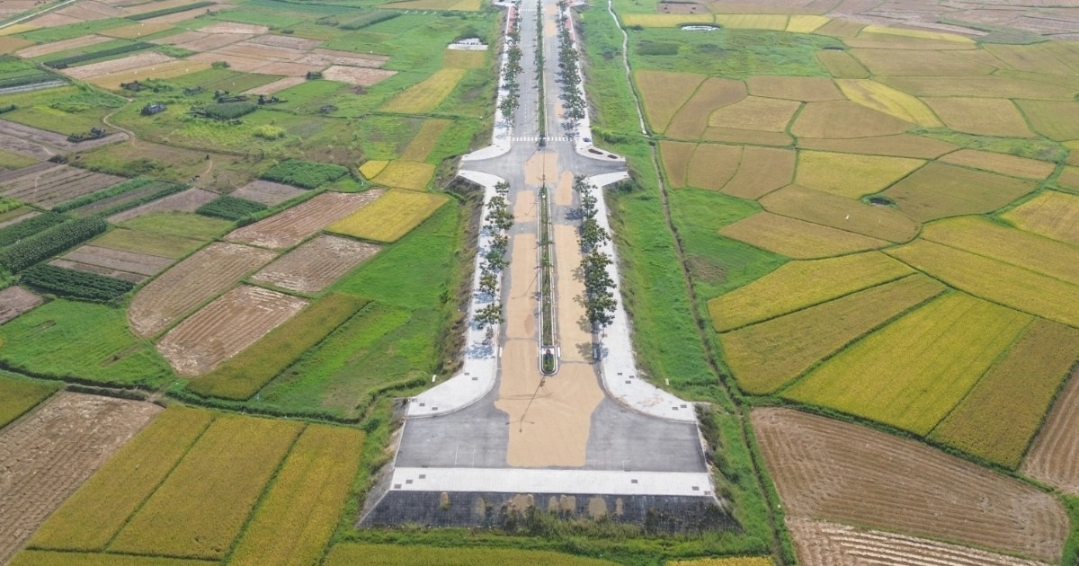 Đường 34 tỷ đồng “vô dụng”, thành chỗ phơi lúa